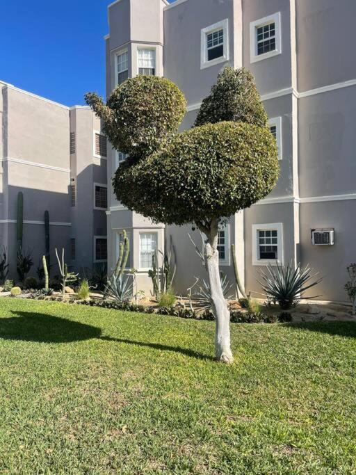 Departamento En 1Er Piso 2 Bdr 2Bath Tezal Apartman Cabo San Lucas Kültér fotó